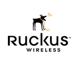 Ruckus Partner